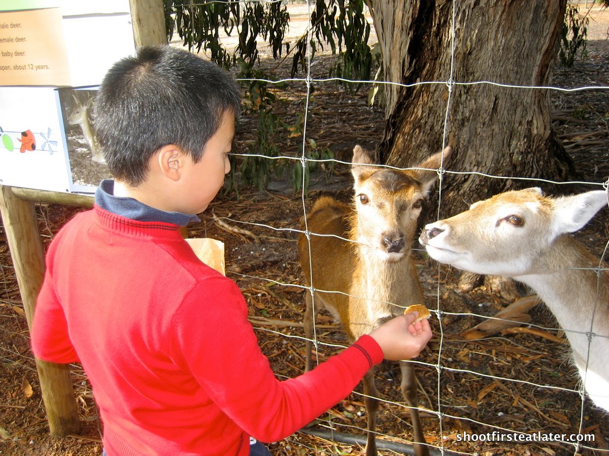 [shearing+shed-14.JPG]