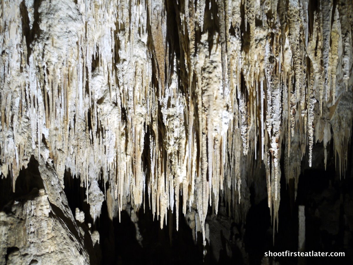 [mammoth+cave-12.JPG]