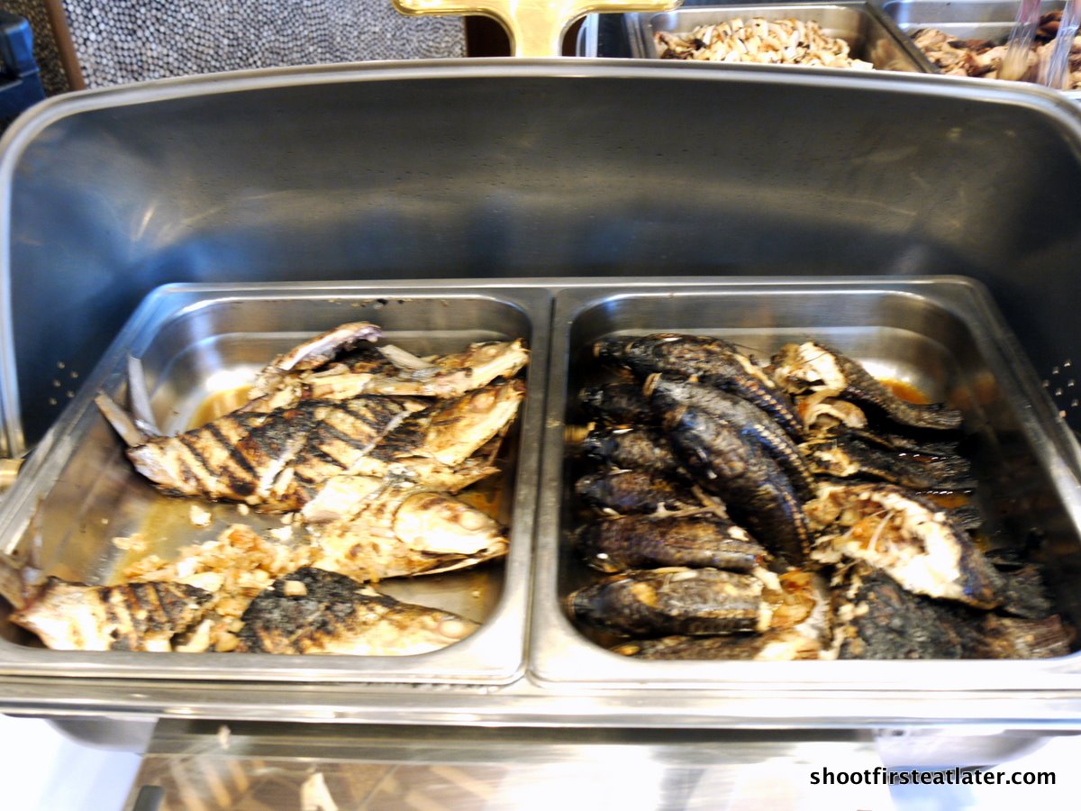 [Hamilo+Coast-8.JPG]