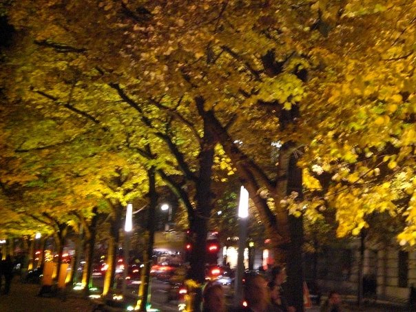 [n691816717_2217376_5502.jpg]