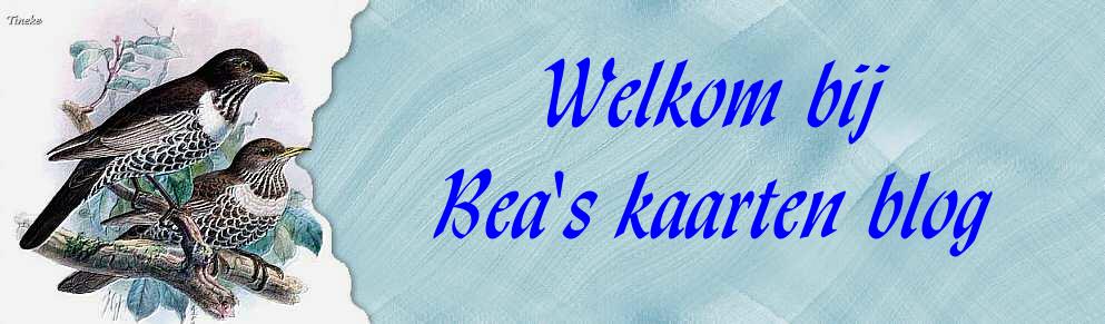 Welkom bij Bea's kaartenblog