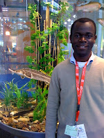 Kayode Raphael Adegboye