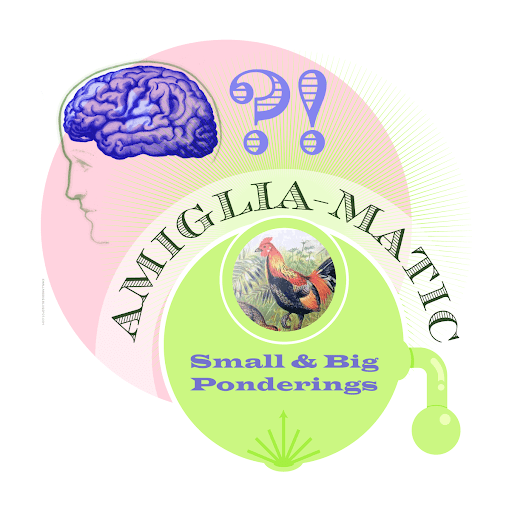 The Small and Big Amiglia-matic