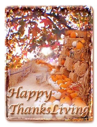 Thanksgiving notes key smaller immediate celebration ve times many had family AmethJera's Broom With A View: November 2010