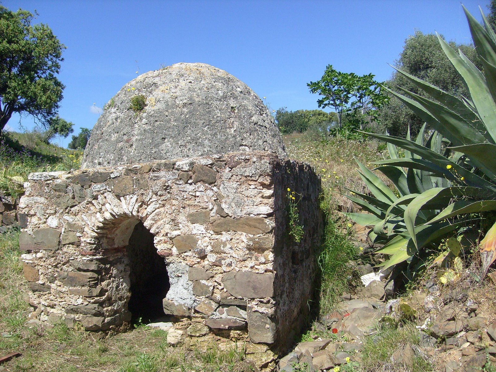 [S7301494.JPG]