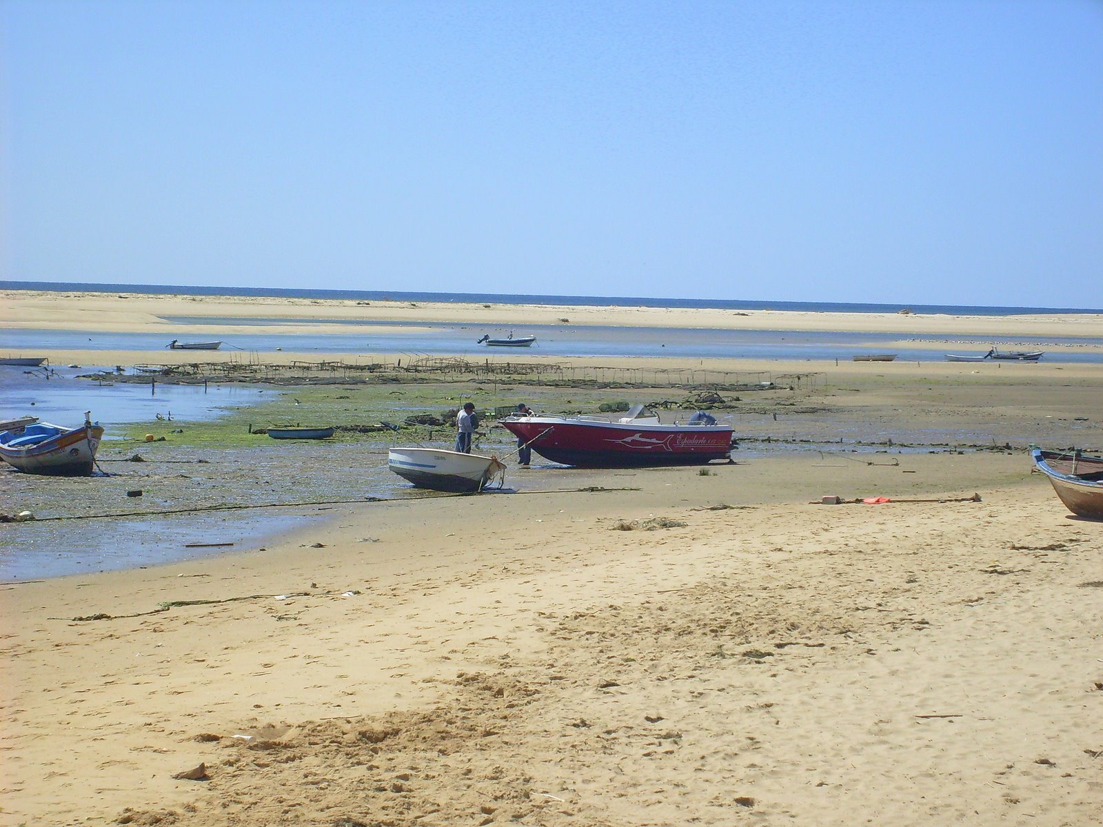 [S7301526.JPG]