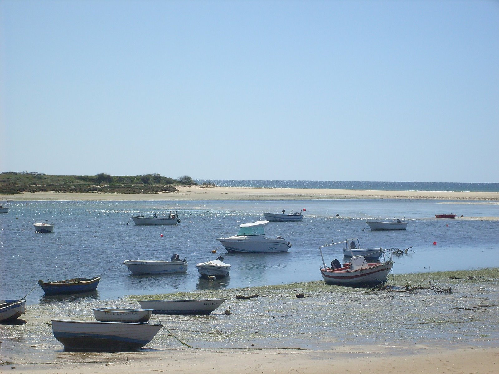 [S7301536.JPG]