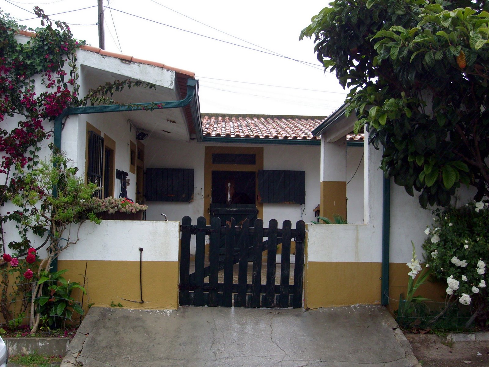 [S7304138.JPG]