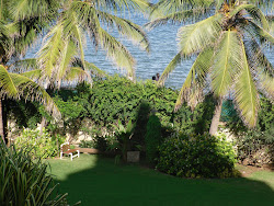 The Gardens at Park Guest House Pondicherry