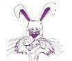 lonoke jackrabbits