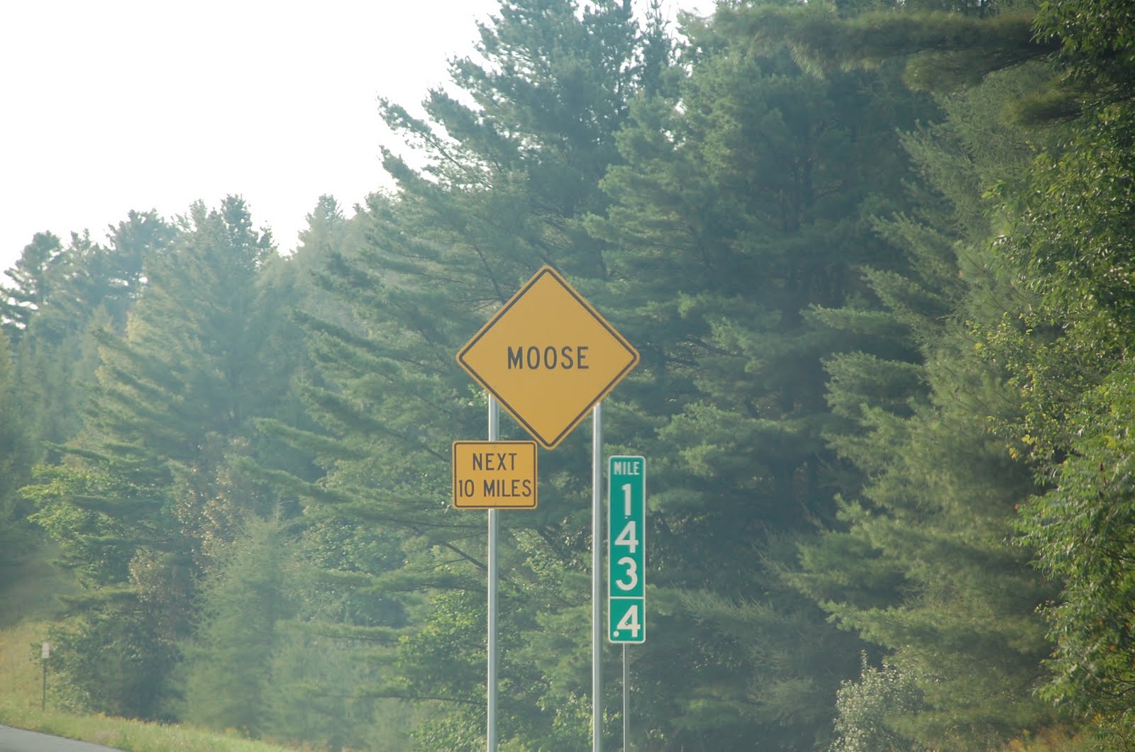 wilwoo 8 23 Maine to China Town Montreal