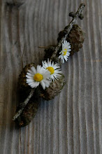 Creative Kinder