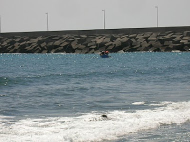 Cerco en Las Salinas de Arinaga