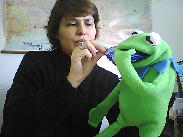 Por H O Por B Pobrecito El Cocodrilo por h o por b pobrecito el cocodrilo