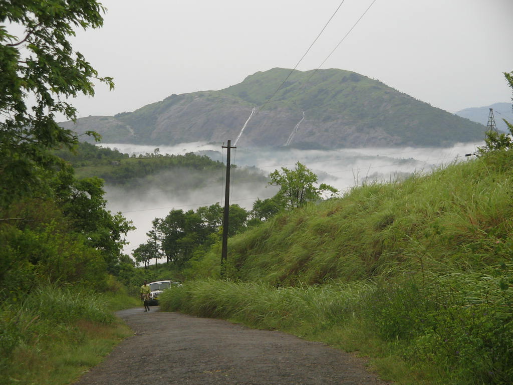 [IMG_0305.JPG]