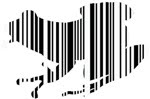 [sapo_barcoded.bmp]