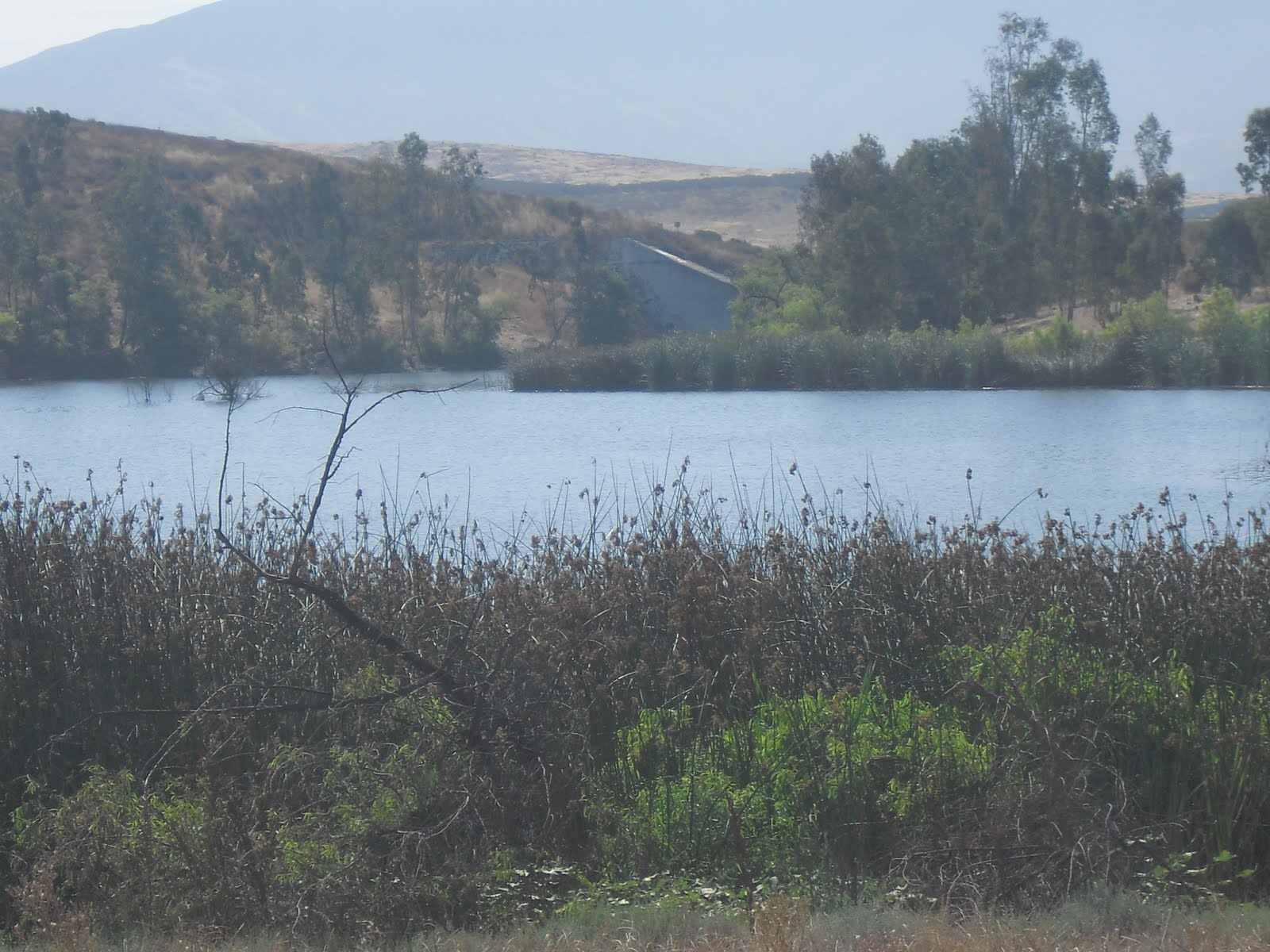 Walking Here and There! Otay Lakes Upper Lake (23)