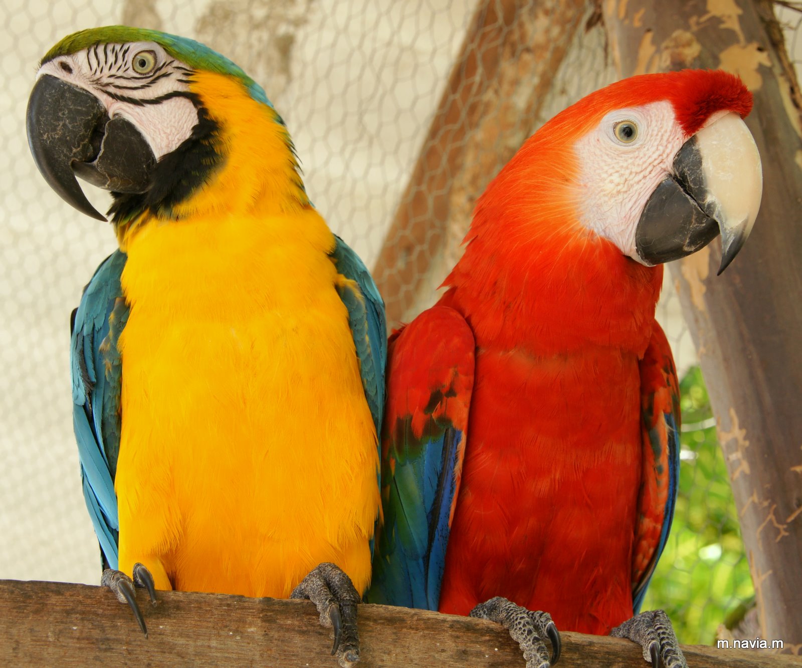amantes de la vida: expedicion animales de colombia