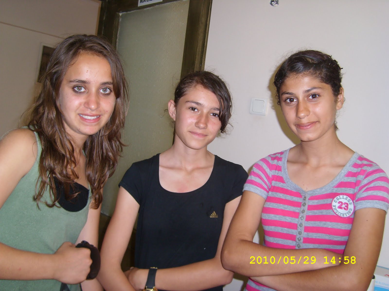 Begonvilli Ev Yaralı Anne Kedi ve Üç Yavrusu