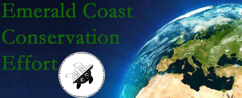 Emerald Coast Conservation Effort