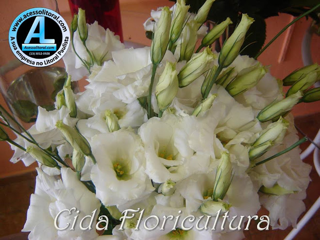 Cida Floricultura30