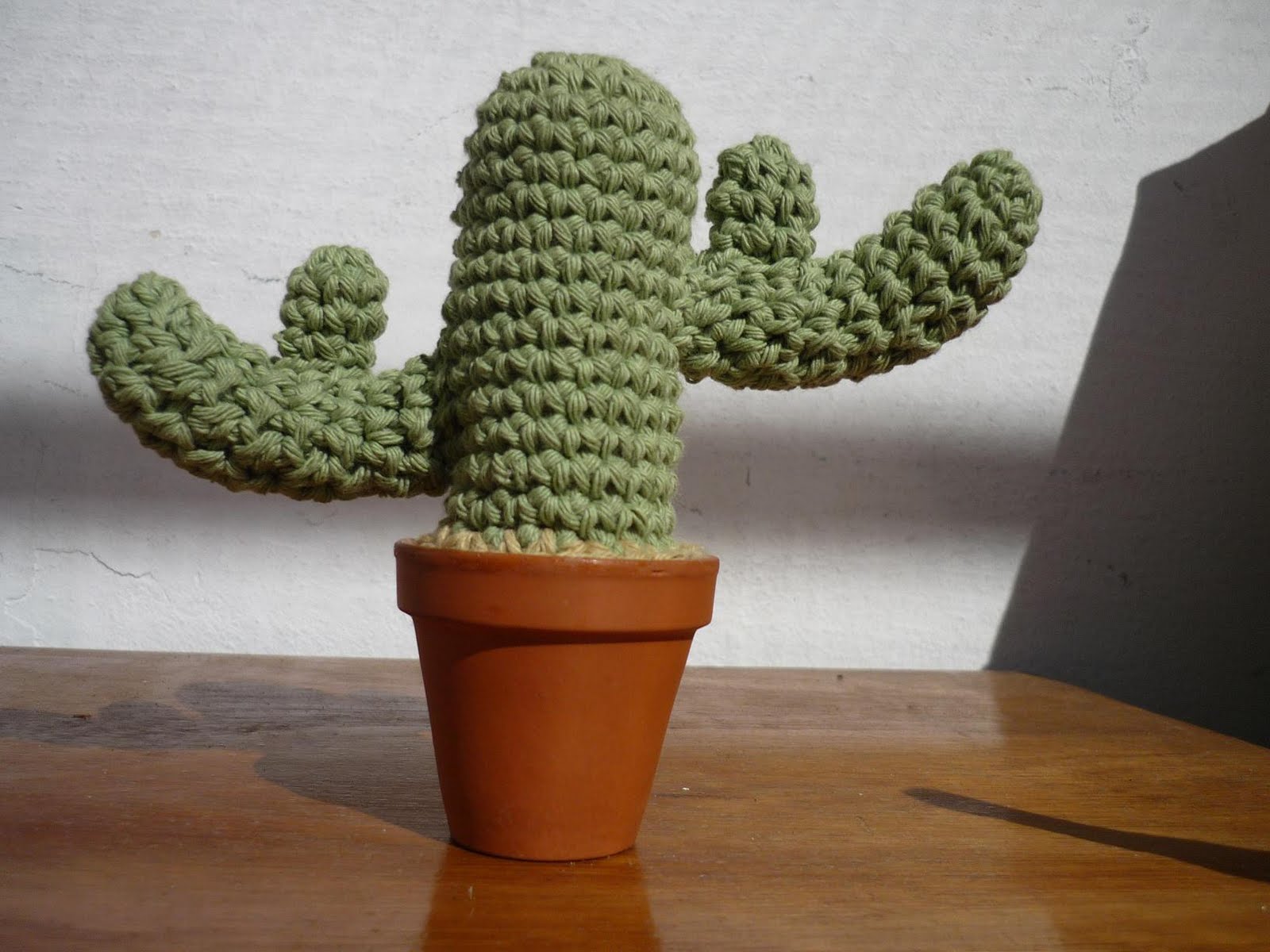 [cactus.JPG]