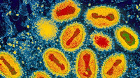 The smallpox virus