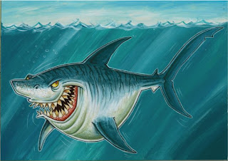 Real Shark Photos
