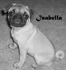 Izabella My Puppy!