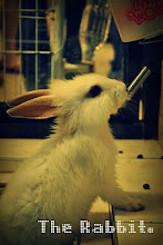 cutie rabbit. ^^