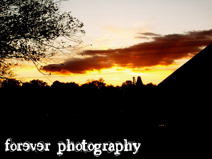 forever photography