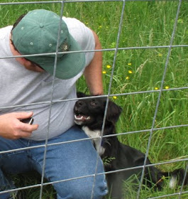 cesar millan no touch no talk no eye contact