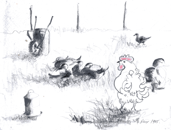 [Rieux+sketch+small.jpg.png]