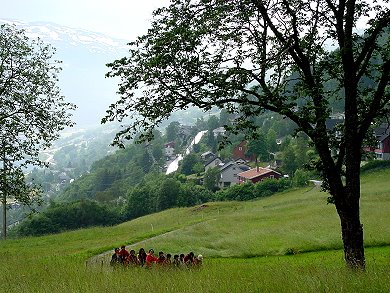 [南峽灣區農莊漫遊+.JPG]