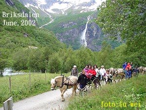 [2002+Horse+carriage.jpg]