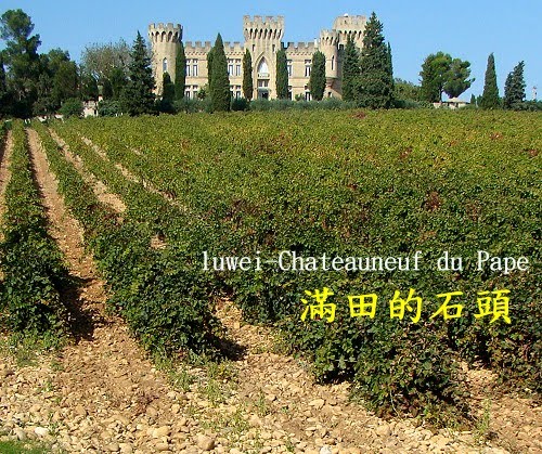 [rolloing++stones+vignes.jpg]