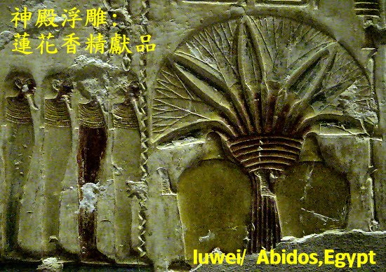 [Lily+parfum+Abidos.JPG]