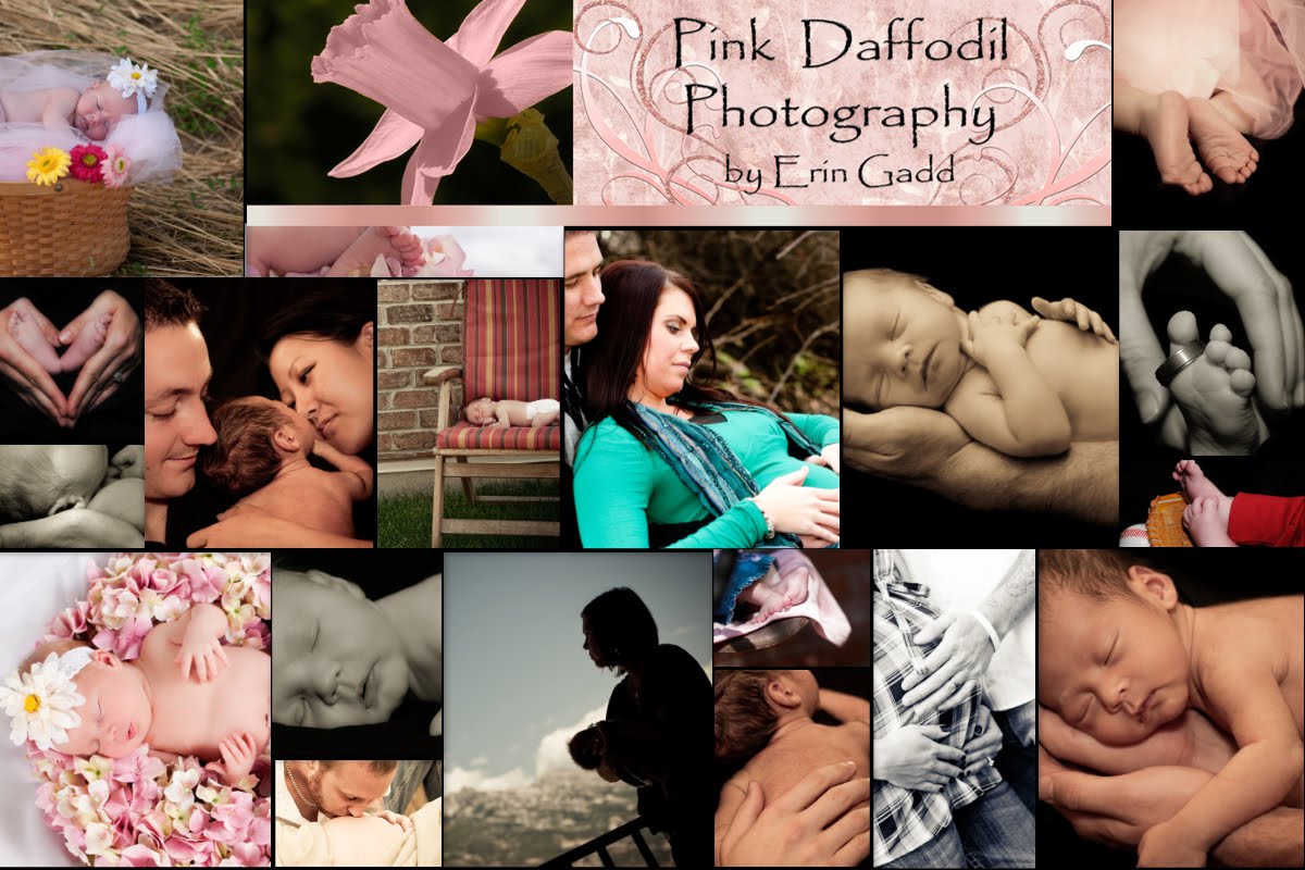 Pink Daffodil Photography Babies/Maternity