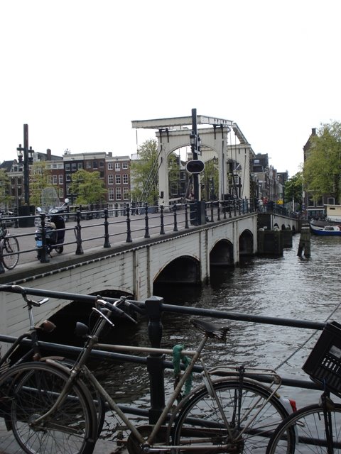 [DSC06074.JPG]