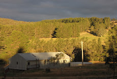 George's place at Oberon