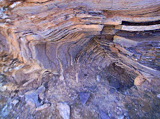 Stromatolite, Flinders Ranges