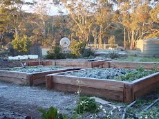 Frost at home