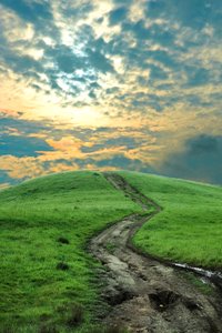 [Thankful+Nov+08.bmp]