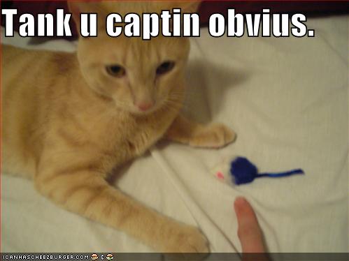 [funny-pictures-captain-obvious-cat.jpg]