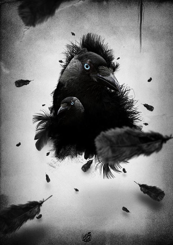 [bird+vec...jpg]