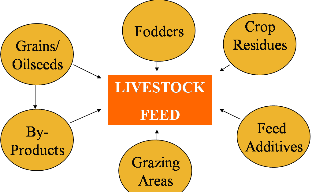 Protect Health.......Protect Life Feed Resources for Livestock and Poultry