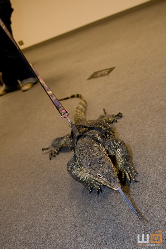 [2008-10-31-matadornight-057.jpg]