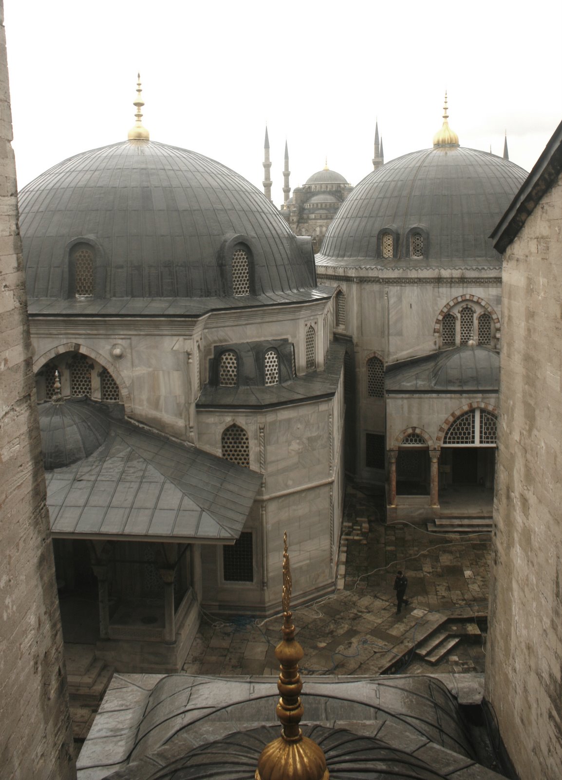 [_MG_1787.JPG]