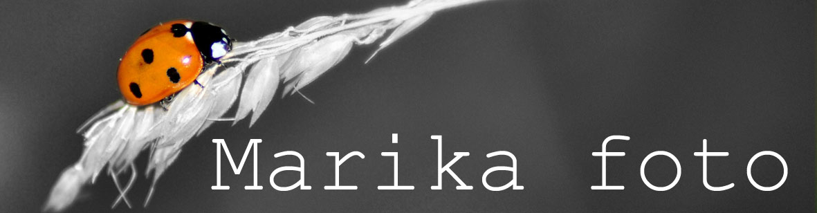 Marika foto
