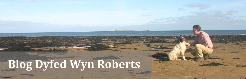 Blog Dyfed Wyn Roberts